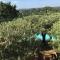 Le Clos en Provence photo 8