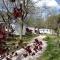 Camping les Roches photo 11