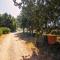 Apartments Jakov