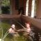 Manoir de la Dube photo 23