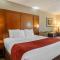 Comfort Suites Southpark - Colonial Heights