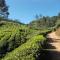Greenview holiday inn - Munnar