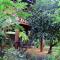 Sun and Green Eco Lodge - Dambulla