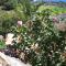 A Place in Thyme - Fish Hoek