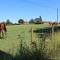 Molland Manor House Bed & Breakfast