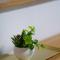 YAB-GuestHouse, FemaleOnly, ForeignOnly - Seul