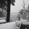 Lodge Palguin Alto