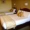 Hotel Curracloe