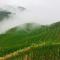 Hello Mu Cang Chai Homestay & Tours