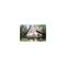 Holiday home Benecko-Rychlov Foto: Holiday home Benecko-Rychlov