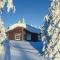 Sjusjøen Pihl 185