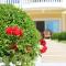 Shemesh Gardens House