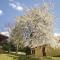 One-Bedroom Holiday Home in Krompachy Foto: One-Bedroom Holiday Home in Krompachy