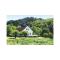 Foto: Holiday home Spangereid Lohne 3/19