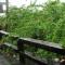 Lotus Hostel Beicheng Zhuang - 罗东镇