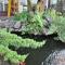 Lotus Hostel Beicheng Zhuang - 罗东镇