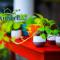 Nutshell-Airport Retreat by the Sea - Trivandrum