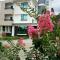Hua Lian Sin Su Homestay