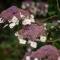 Boutiquehotel t Fraeyhuis - adults only