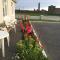 Naomh Colman B&B