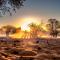 Bagatelle Kalahari Game Ranch - Hardap