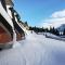 Chalet Golf Campiglio  LuxApt  fronte piste-impianti-golf