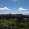 Summit View