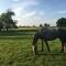 Templemacateer - Westmeath