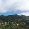 Summit View