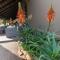 Rooiberg Lodge