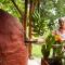 El Laurel Finca Agroturistica