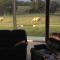 Donegal Farmstay
