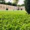 Green Garden