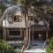 Palms house