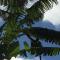 Banana Tree Lodge