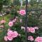 Ritz Garden Niji