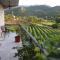 Studio and winery Kalimut