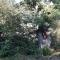 Le chalet de Roanne-Coo