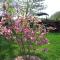 B&B Hoeve Ransberg
