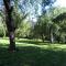 A lAube des Volcans
