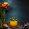 Rosslyn Dimyat Hotel Varna