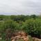 Gopi Homestay