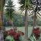 Romantic vintage retreat away in West Auckland