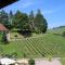 Wein Lodge Durbach - Schlossblick