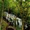 Look Tea House