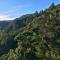 Fantail Hill