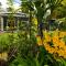 Hale Ohu Bed & Breakfast