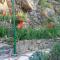 Bulgarana photo 8