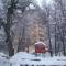 Bosque Nevado - Nevados de Chillan