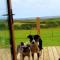 Lilly's Lodges Orkney Butterfly Lodge - Finstown